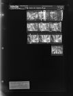 TB test at Eppes High (10 Negatives), September 27-28, 1966 [Sleeve 38, Folder b, Box 41]